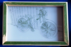 OLYMPUS DIGITAL CAMERA