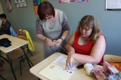 30.06.2015 456