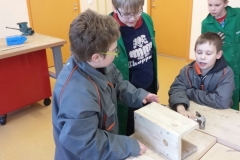 Lindude pesakastide valmistamine - 7