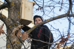 Pesakast Rõuges 2014 003