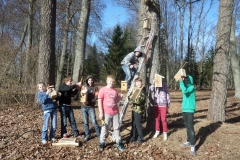 SAMSUNG CAMERA PICTURES