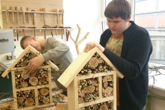 Raamakool_putukahotell (30)